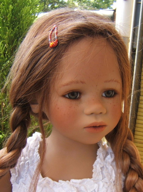 Bellis