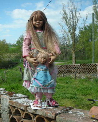 Liska, Lotta